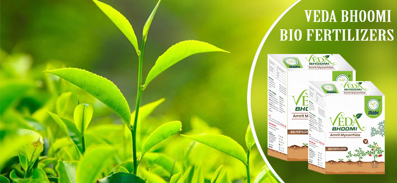 Bio Agriculture Organic Fertilizer