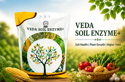 VEDA SOIL ENZYME ++