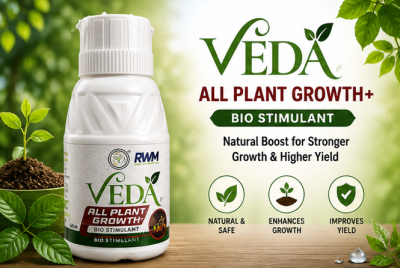 VEDA ALL PLANT GROWTH 100ML